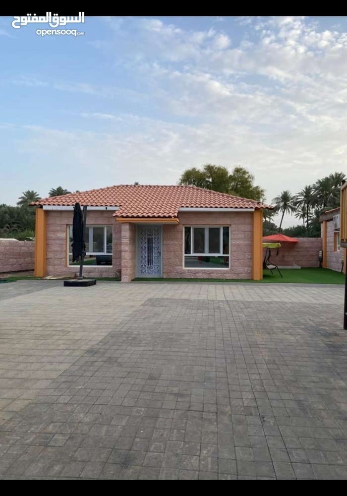 ���� �������_mwckZ