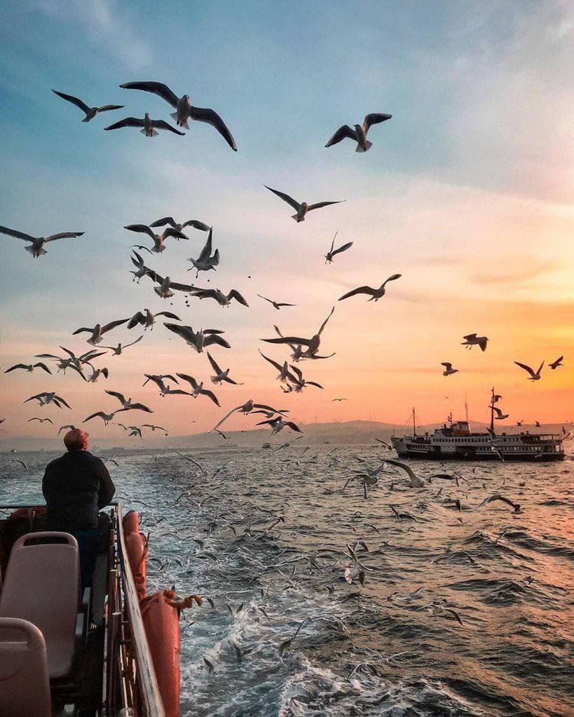 ���� ��������_pSfGQ