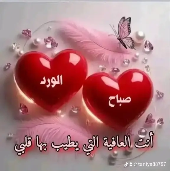 Taniya_lK4IF